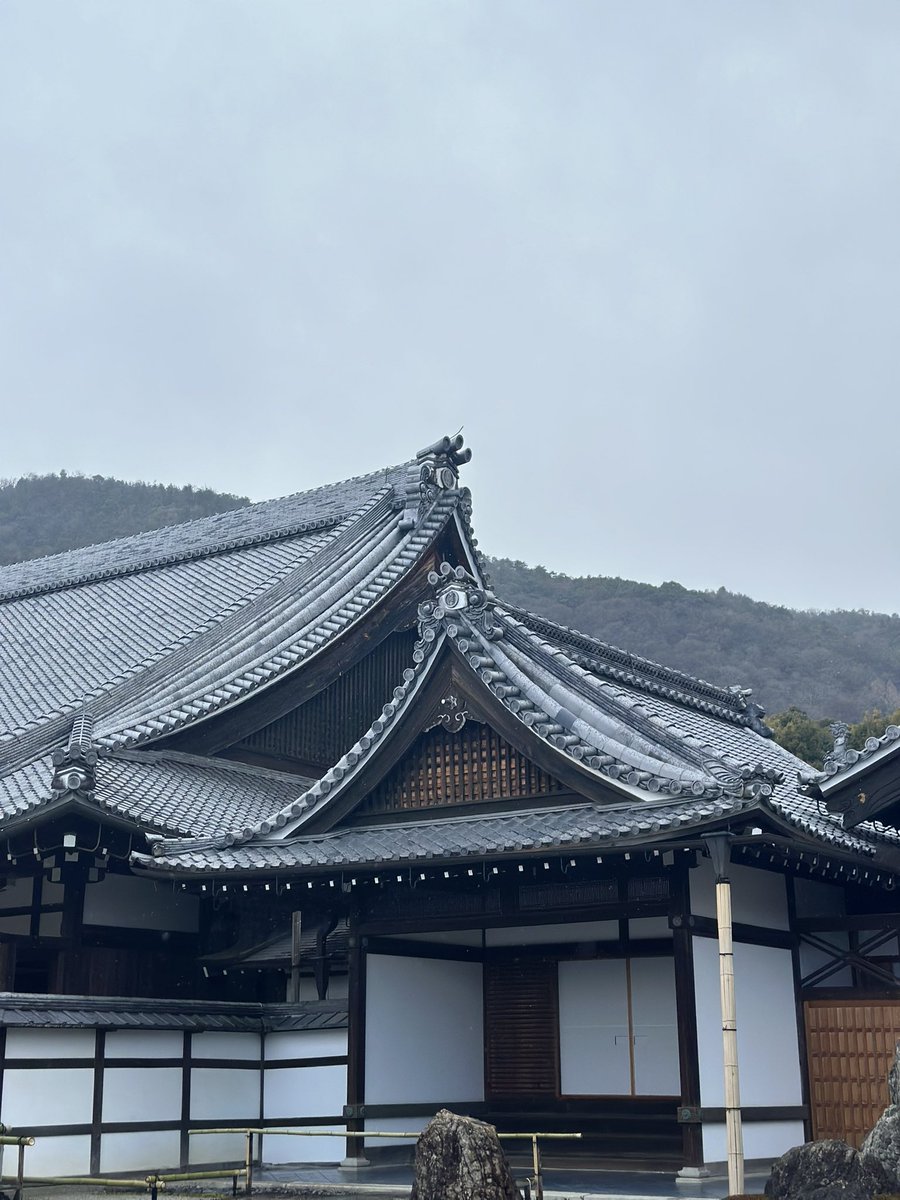 iamajashton's tweet photo. I found a very special love on you📍Arashiyama
#WheninKyoto #Japan🇯🇵2024 https://t.co/QYWHTDDOZz