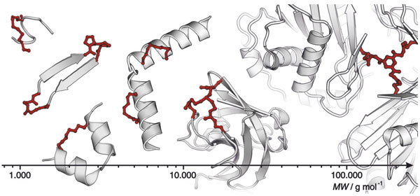 TomNGrossmann's tweet image. Very happy to see our account review online at Synlett @thiemechemistry  Big thanks to all former and current group members!!!! #peptidomimetics #proteomimtics #INCYPRO #Incircular
thieme-connect.com/products/ejour…