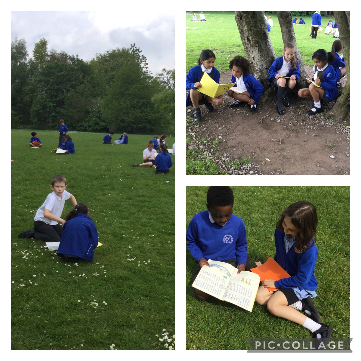 Alty CE Y4 tweet media