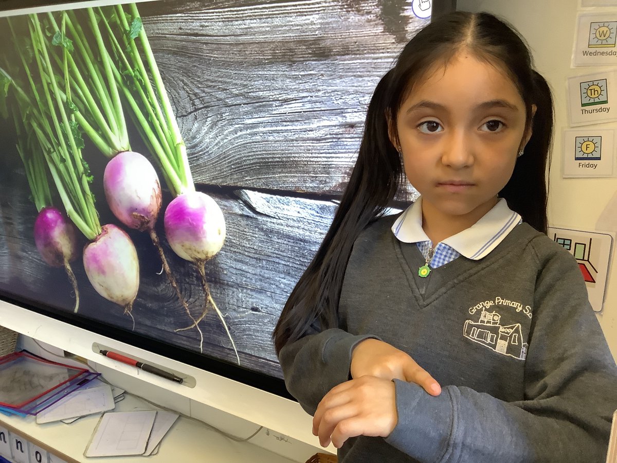It’s been all about Makaton signs in Star Class today. We have been learning signs for #deafawarenessweek Children learned sentence starters and actions for story words like “Once upon a time”, “Next”,and “Finally”. They will use these to retell the story ‘The Enormous Turnip’.