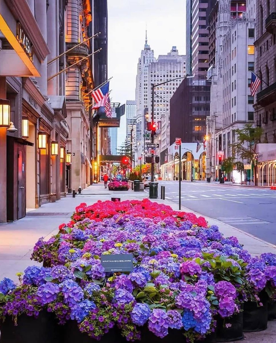 New York #newyork #cityscapes #travel #photography #destinations #scenery #X #travelphotography #architecture