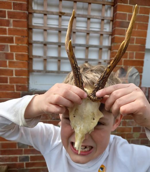 Brought for 'show and tell' and instinctively used like a #StarCarr #mesolithic headdress!
Discover more starcarr.com/headdress
#archaeodiscovery #archaeologyinschools #archaeologyforkids #handsonlearning #activelearning #childledlearning #learningthroughplay
@archaeostarcarr