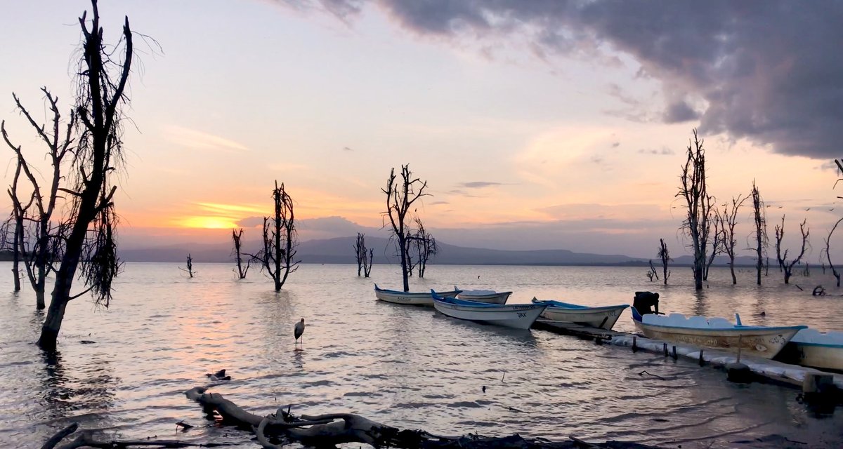 🐚 #SIDS countries provide us with culture, innovations, natural resources and Indigenous knowledge that play a critical role in the health of our shared society.

🌴 Learn why the #SIDS4 Conference is a key opportunity for #SmallIslands and the world: desapublications.un.org/un-de