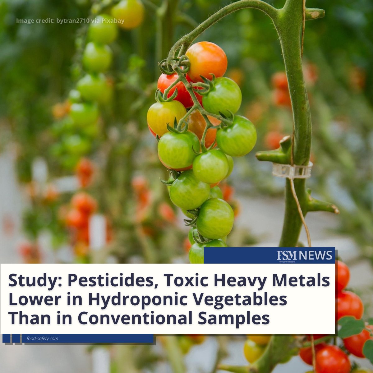 🌱 A recent study comparing the presence of chemical contaminants in conventionally and hydroponically grown produce found pesticide residues and toxic heavy metals in a larger number of conventional samples than in hydroponic samples: brnw.ch/21wJzV4

#foodsafety