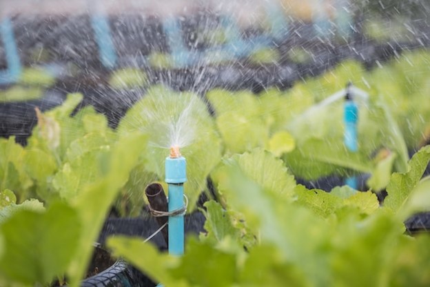 IrrigationLI's tweet image. 🌡️ A couple of days in the 80&apos;s can wreak havoc on your landscape. Don&apos;t wait for the damage; ensure your irrigation system is open and ready to protect your lawn and plants. 🌿💦 #HeatwaveReady #LawnProtection #IrrigationSolutions