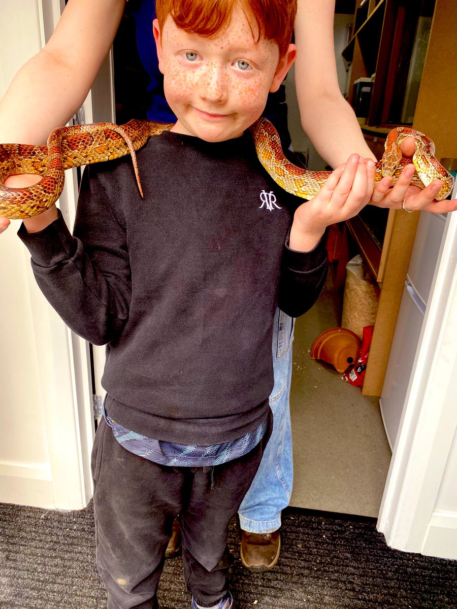 Meet Randy the corn snake who was getting ready for his dinner! 🐍 #outdoorlearning #brave #teacherswerehiding