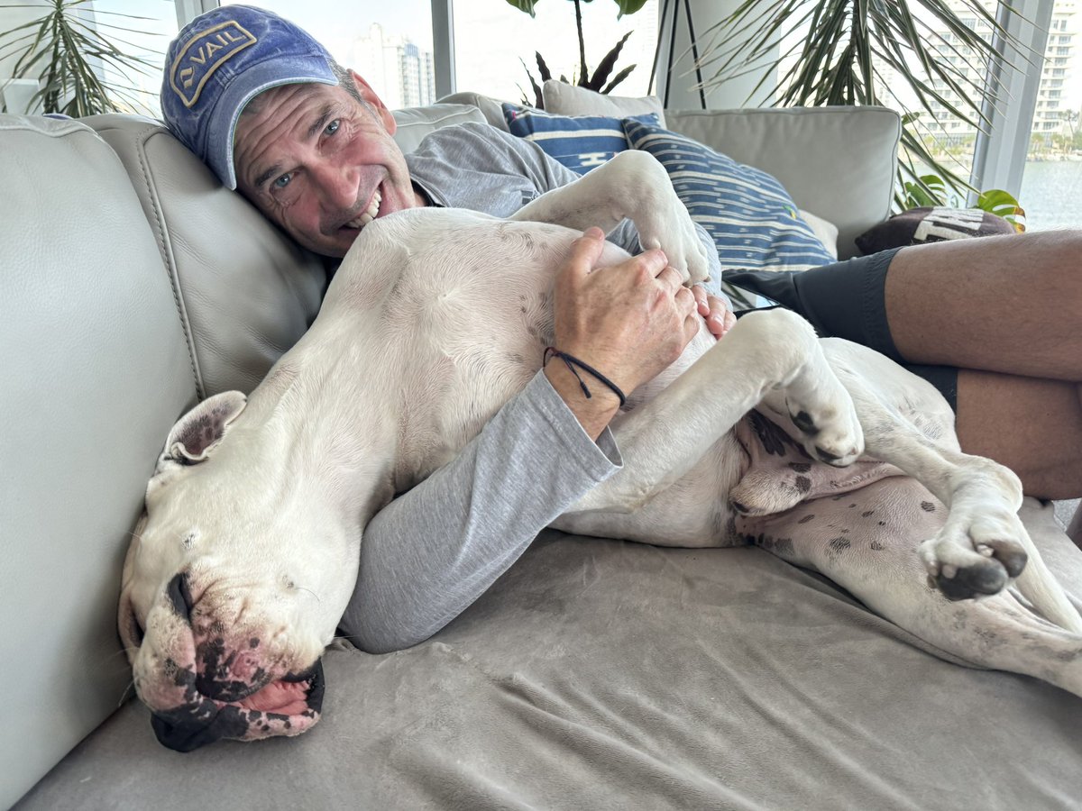 #wontlookwednesday PT using D2 as his new cuddle buddy. He’s finally getting the hang of it with him. @humanesociety @deafdognetwork #dogsoftwitter #dogsofx @dogvideosdaily @contextdogs @tweeetsofdogs @deafdogrescue #americanbulldogs