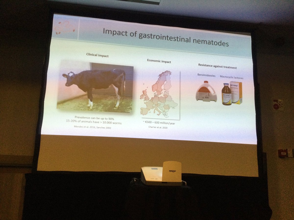 #ISPMF24 Ruud Wilbers from Wageningen. Vaccines to cattle nematodes!