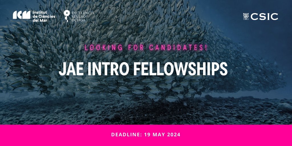 ⚪I LAST CALL I⚪ 📢#JAEIntro24 fellowship program to introduce young scientists to #MarineResearch is about to close! 🌊 Some offers for university students are still available at the ICM! ⌛Deadline: 19 May 🔗icm.csic.es/ca/oferta-treb… @JAEIntro_CSIC