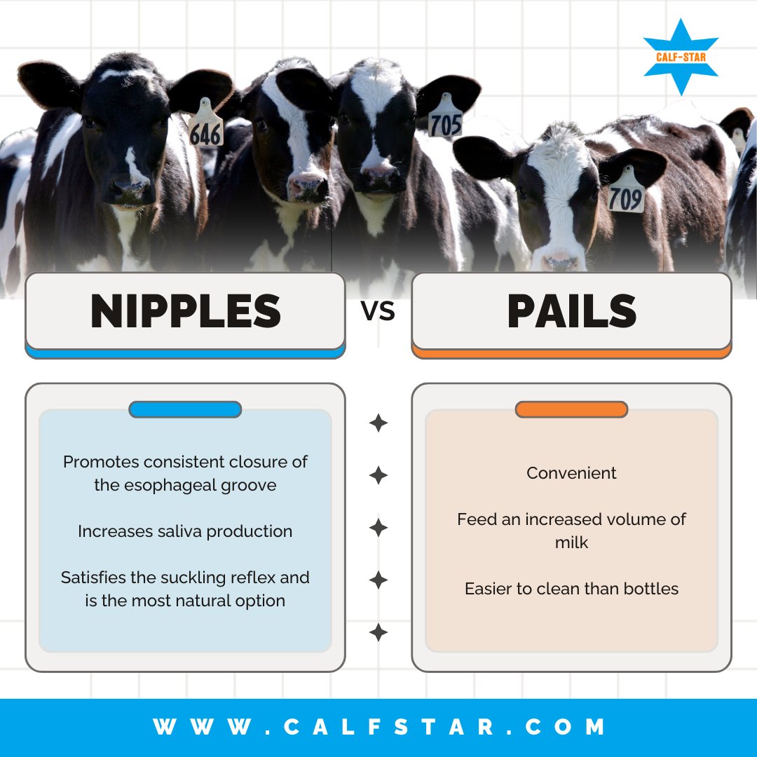 Which is best for calf feeding? 🤔

Whether you prefer the simplicity of pails or the precision of nipples, we have the tools you need for successful calf feeding! Browse our products!🌐 calfstar.com

#calves #dairyfarmers #dairy #milk #hobbyfarm #dairyfarming