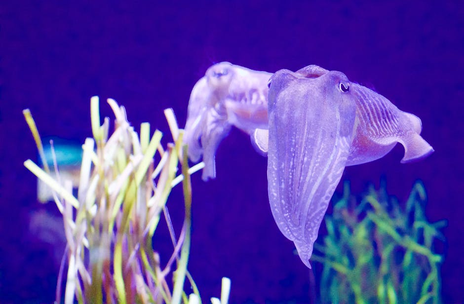 How do aquatic organisms cling to unpredictable surfaces? 🌊🦑 

This study from Bioinspiration & Biomimetics dives into the mechanics of bioinspired suction cups. 

Curious? Read on 👉 ow.ly/l00u50RvSZy

#Biomechanics #NatureInspired #OceanResearch