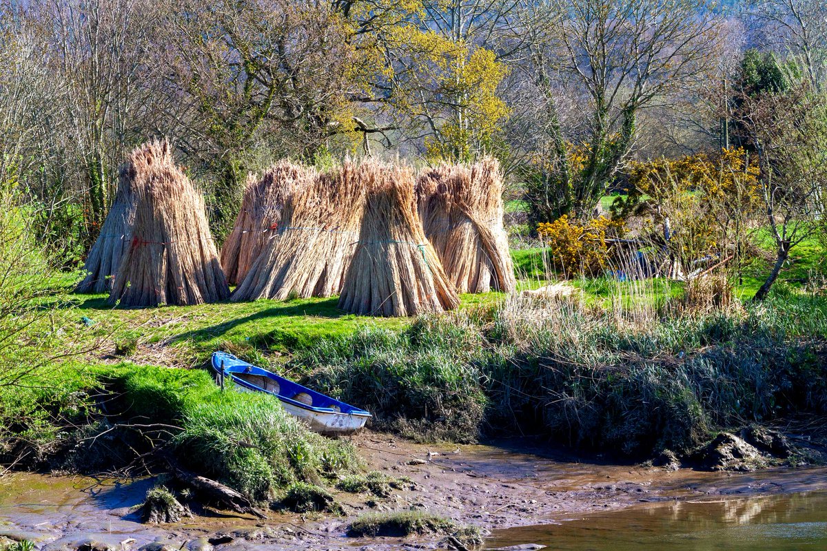 Chatting to the lovely Gemma #WLRFM #Livewire after 1pm today about the mysterious Garabhanchs who lived &amp; toiled along Bride River #Waterford 19th/20th century. A clan known for their incredible stature, brawn &amp; fighting ways. Full research is in Decies Journal 2024 😁