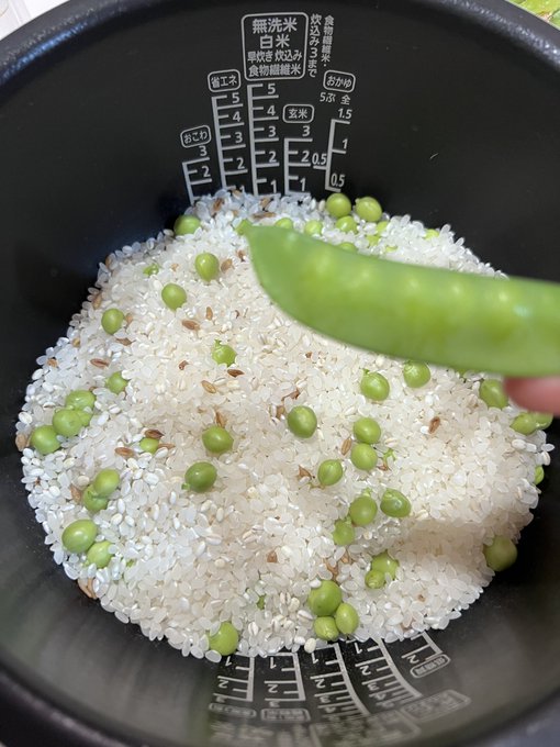 育ちすぎた絹さやエンドウは、炊き込む🍚 https://t.co/03YZkpPYA5