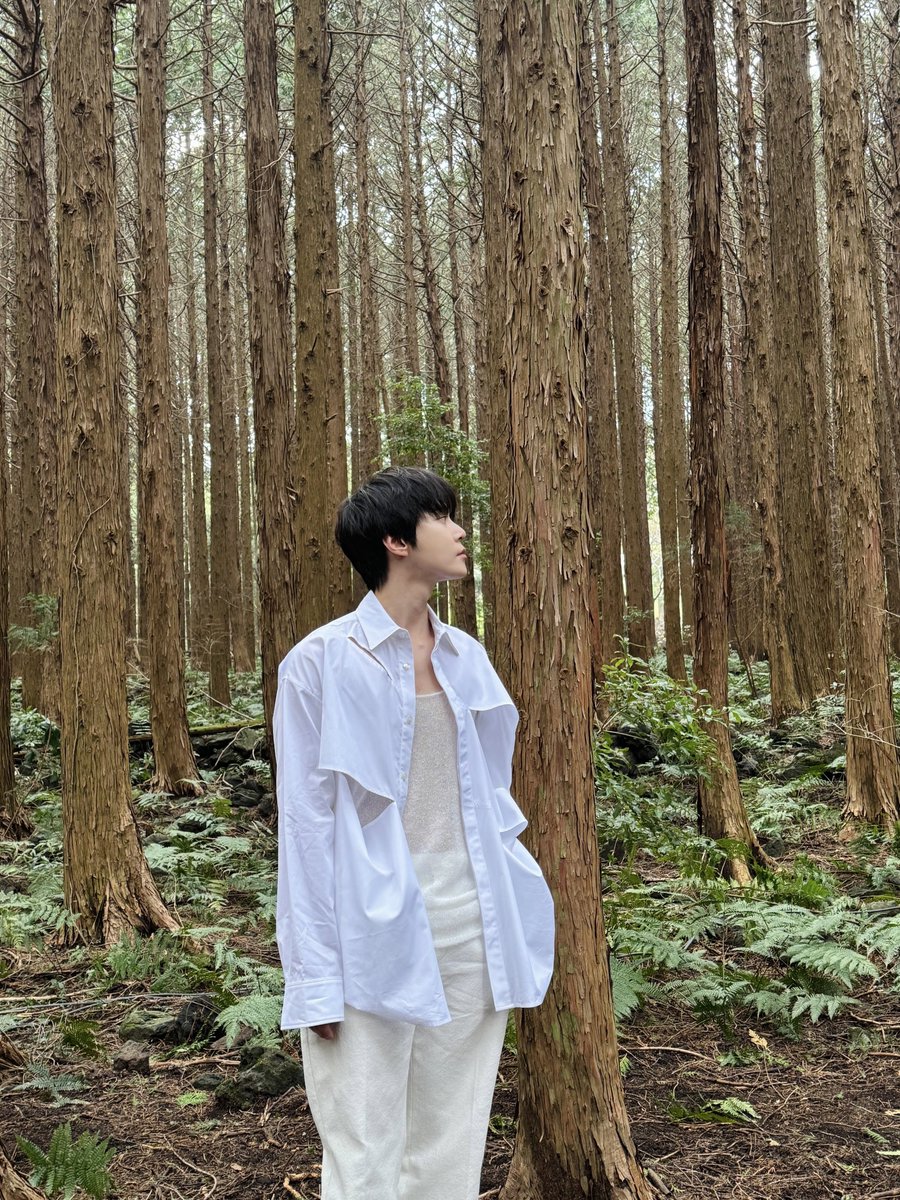 ️☀️✨🐰🌲 #DOYOUNG #도영의포말 #청춘의포말 #DOYOUNG_청춘의포말 #도영  #DOYOUNG_청춘의포말_YOUTH #NCT #NCT127