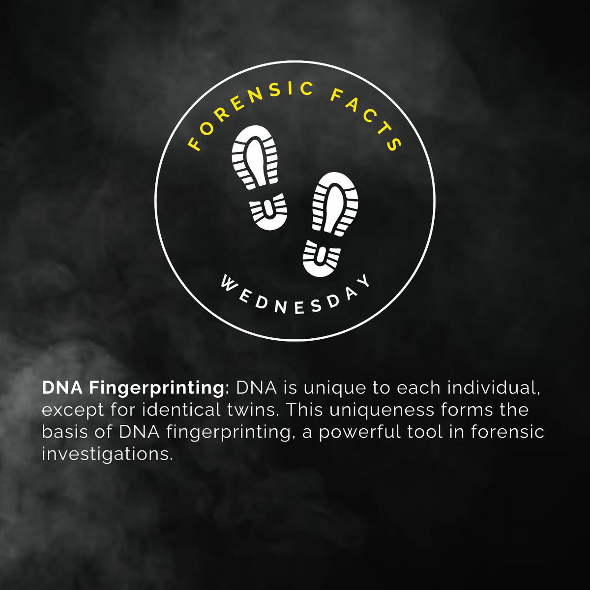 DNA and unique fingerprints are powerful forensic tools due to their individualised nature. Each person's DNA sequence and fingerprint pattern are distinct, making them reliable identifiers
in criminal investigations.