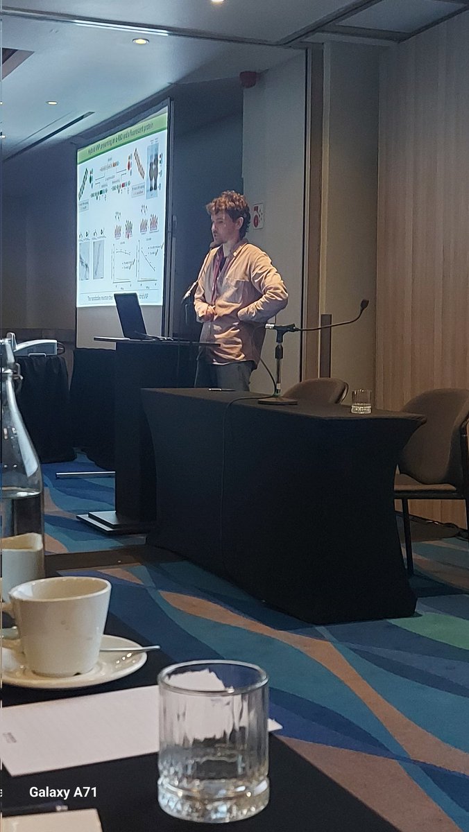 Fantastic talk hybrid nanoparticles F. Merwaiss at ISPMF Cape Town