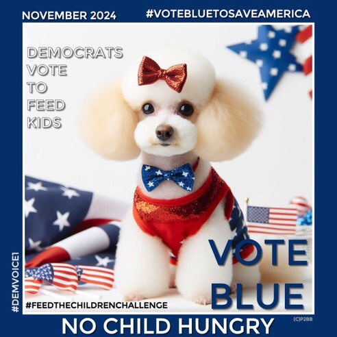 Making sure that the children of America are taken care of and fed properly can’t be a partisan issue, it has to be everyone’s issue. That’s the Truth. #NoChildHungry If able, please call local schools & help pay for breakfast/lunch for a child. #FeedTheChildrenChallenge