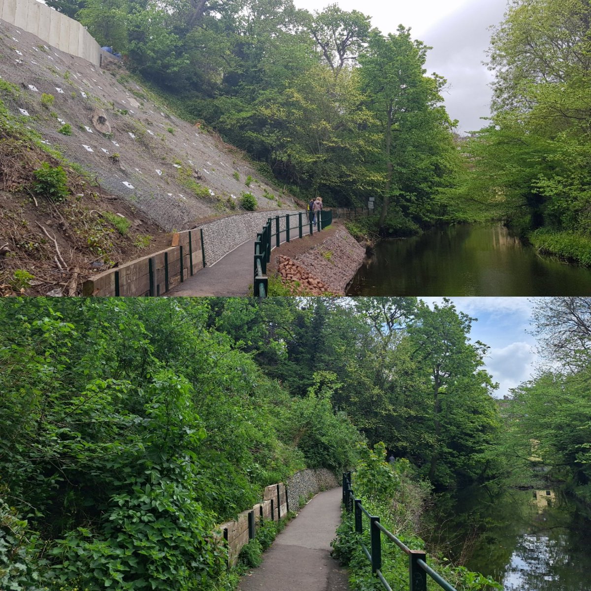 Two years since the Dean Path landslide was opened, amazing to see how nature has reclaimed the bank..was also buzzing with bees and full of bird life