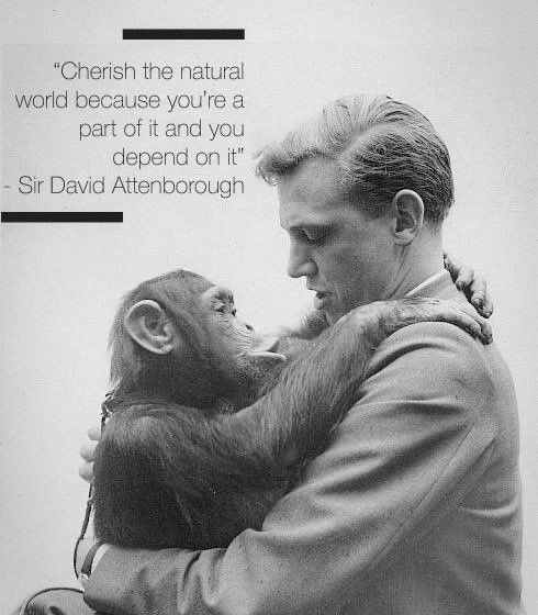 #WordsofWisdom #DavidAttenborough 👍🏼