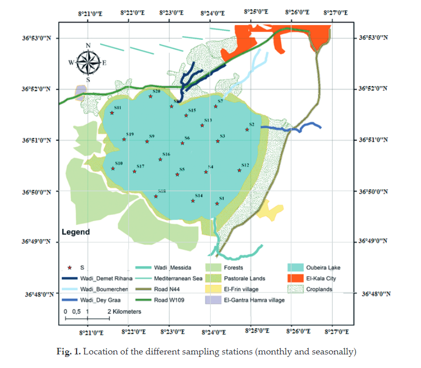 GaEE_AGH's tweet photo. Modelling Microcystis Cell Density in a Mediterranean Shallow Lake of Northeast Algeria (Oubeira Lake), Using Evolutionary and Classic Programming

Salah Arif, Adel Djellal, Nawel Djebbari, Saber Belhaoues, Hassen Touati,Fatma Guellati, Mourad Bensouilah
https://t.co/tr1ySDu3cX https://t.co/HlMsrslkjh