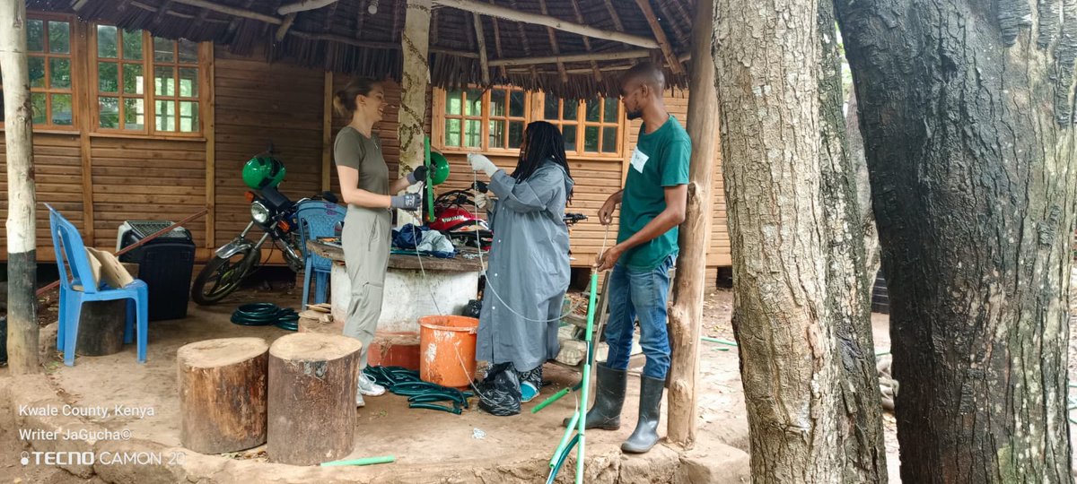 Colobus Conservation tweet media