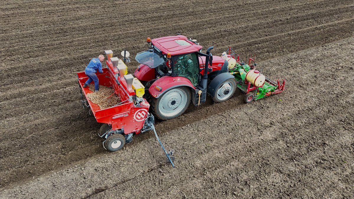 Witlof bedjes frezen een aardappels poten bij <a href="/Leen_Vos/">Leen Vos</a> en <a href="/merijn_vos/">Merijn Vos</a> 

🎥-> m.youtube.com/watch?v=1KP74g…