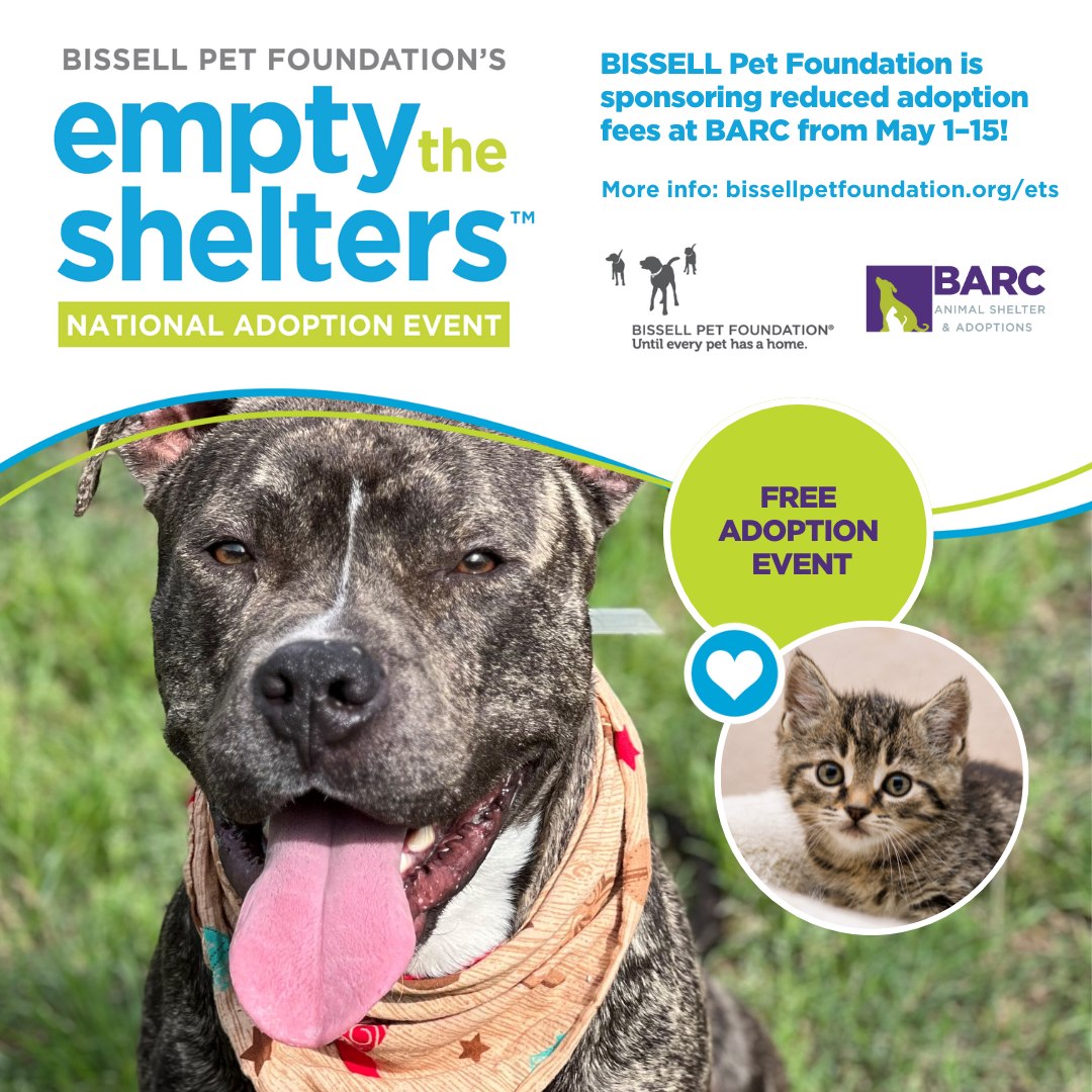 🚨🐾 URGENT: BARC is at capacity🐾🚨 We need your help to Empty the Shelters! Adopting a pet is free through May 15 thanks to @bissellpets Visit houstonbarc.com to learn more. Together, let's turn this crisis into an opportunity for forever homes. 🐾❤️