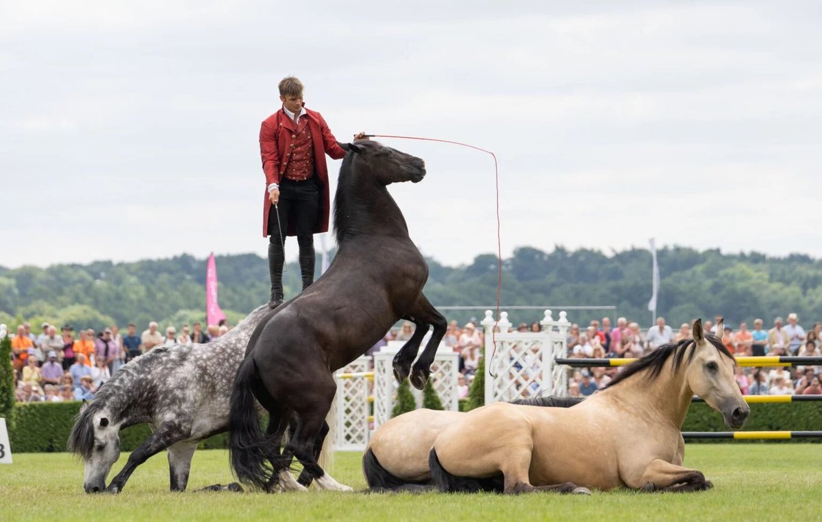 Dorset County Show (@dorsetcshow) on Twitter photo 🐎 NEW FOR 2024 🐎 Atkinsons Action Horses Sponsored by <a href="/evansandpearce/">Evans and Pearce</a>
Promising to thrill, excite & astonish with high energy, breath-taking, death defying stunt Show! Power & grace in the dance of dressage & the explosive airs above the ground. 🐎 NEW FOR 2024 🐎 Atkinsons Action Horses Sponsored by <a href="/evansandpearce/">Evans and Pearce</a>
Promising to thrill, excite & astonish with high energy, breath-taking, death defying stunt Show! Power & grace in the dance of dressage & the explosive airs above the ground.