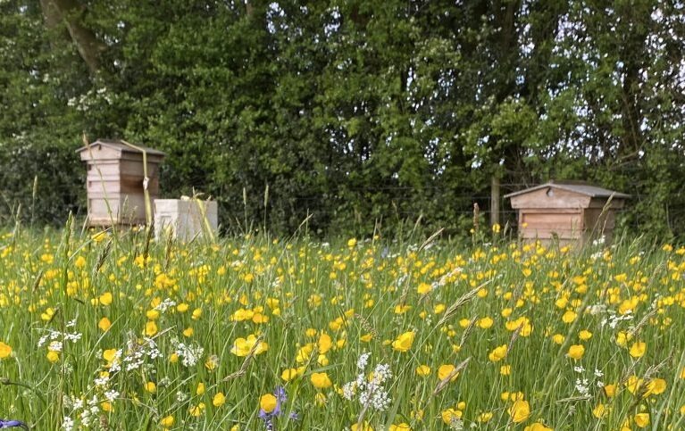 Learn about agroforestry in the Chilterns with Darvills Hill Farm. Take in the deciduous woodland, mixed orchard, living barn & hedgerows.  📅 Sat, 18 May 🕚 11am 📍 Darvills Hill Farm, Princes Risborough 🚨 Booking essential Find out more & book 👉 bit.ly/44OsJOx