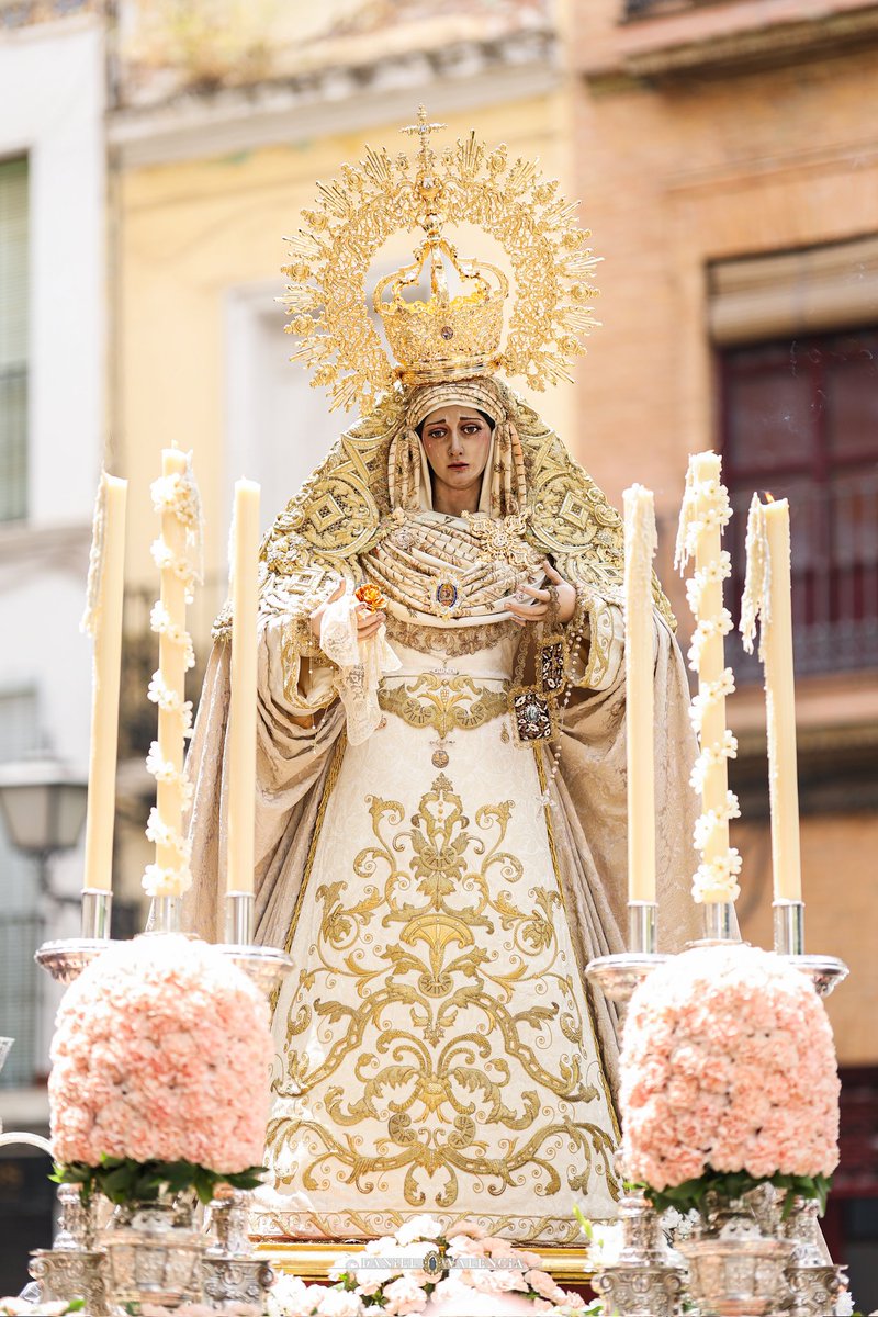Miércoles Flor Carmelita... 🤎 @Hdad_del_Carmen #Tdscofrade #Sevilla