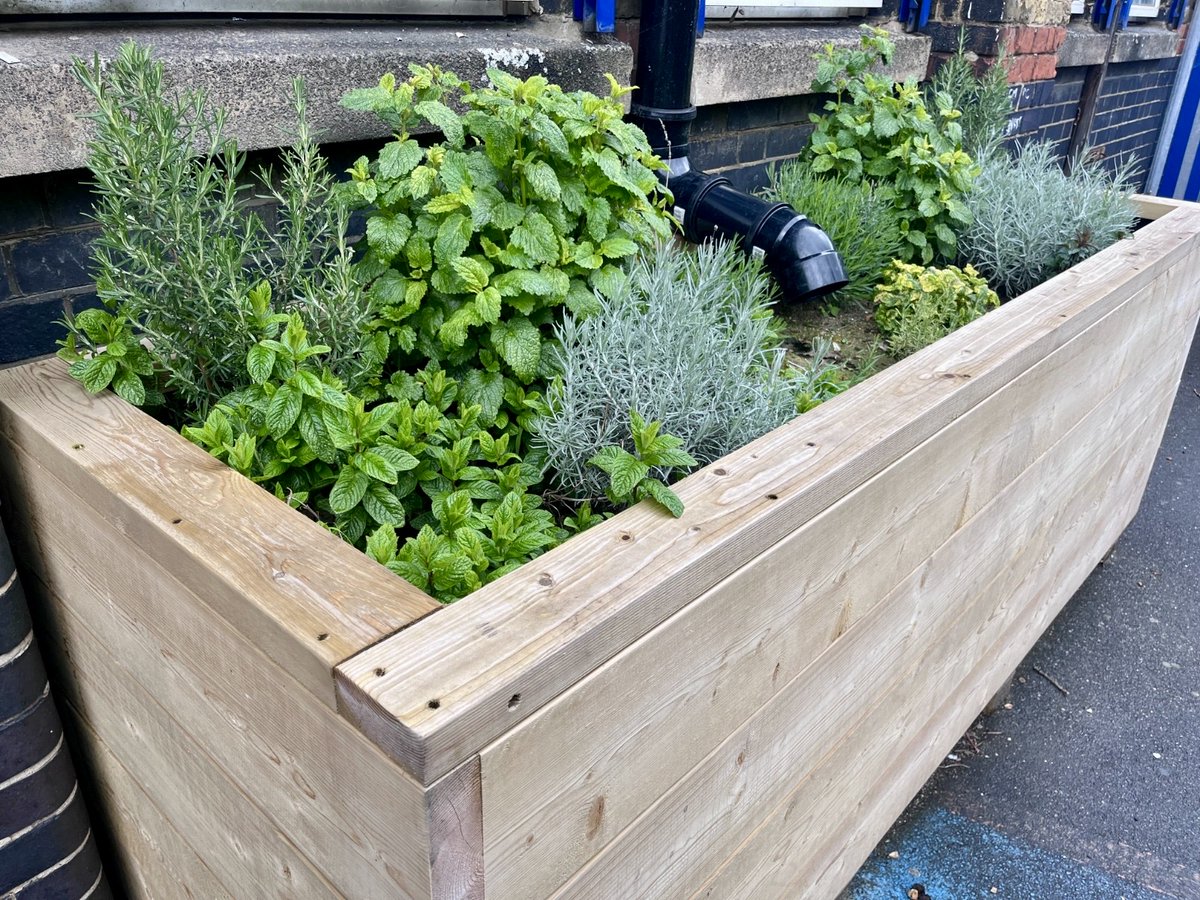 🌱Our #edible #RainGarden #SuDS planters at 14 Newham schools are flourishing! They're enhancing #floodresilience & teaching students about sustainable living, food production, and healthy cooking 🌍 🥗

🌿109 #AquaPlanter installed 
💦 47,102.1L total capacity 
🛠️ Bespoke,…