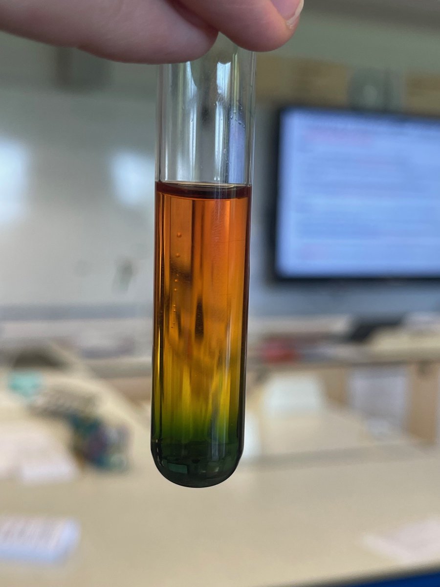 YR8 scientists made rainbow fizz today! It is to help students explore and understand the PH scale. Such a colourful result! #teamsharnbrook