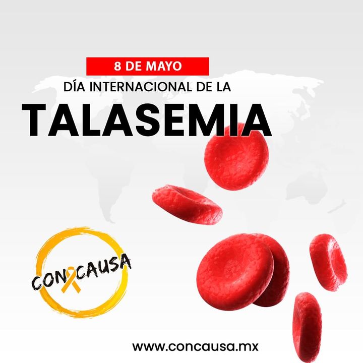 Hoy se conmemora el Día Internacional de la Talasemia, una alteración genética que afecta la producción de hemoglobina. Esta conmemoración pretende visibilizar la enfermedad y apoyar el desarrollo de investigaciones para su detección temprana y un tratamiento eficaz #Talasemia