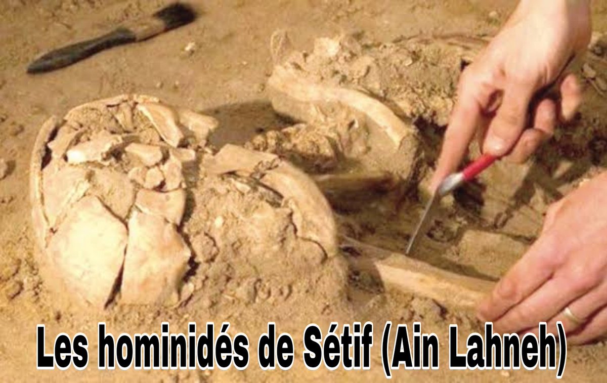 @MarcAouna Histoire de l'Algérie
Les fouilles archéologiques de
Ain Boucherit (Ain Lahnech à Sétif), ont permis de découvrir « le deuxième site archéologique le plus ancien au monde remontant à 2.4 millions d’années ».