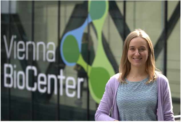 Do you want to learn more about what it’s like to do your PhD at IMBA? In our newest Alumni Portrait, <a href="/BatkiJulia/">Julia Batki</a>, former PhD student in the lab of @juliusbrennecke, reflects on her IMBA journey and how it shaped her scientific career: bit.ly/3y9dVxt