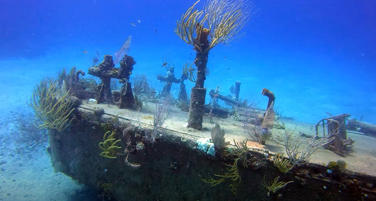 ⛴ Dive Site: James Bond Wrecks
📍 Nassau, Bahamas
📸 TSD user ‘TJ11’
👉thescubadirectory.com/divesiteprofil…

 #Bahamas #Nassau #wreck #wreckdive #ScubaDivingMag #PADI #paditv #scubadivelife #scubadive #scubadiving #scuba #dive #diving #divetrip #divetravel #scubatravel #scubatravellers