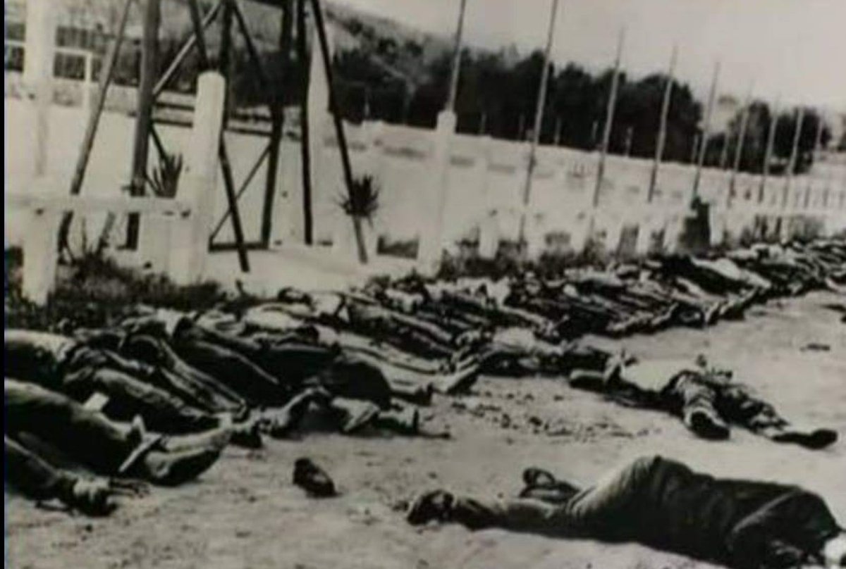 Today, History repeats itself. On May 8th 1945, as victory against the horrible holocaust machine was claimed, 45,000 of my people (🇩🇿) were massacred by 🇫🇷 colonial army for marching for freedom. The persisting paradox of celebrating freedom with oppression across the sea.