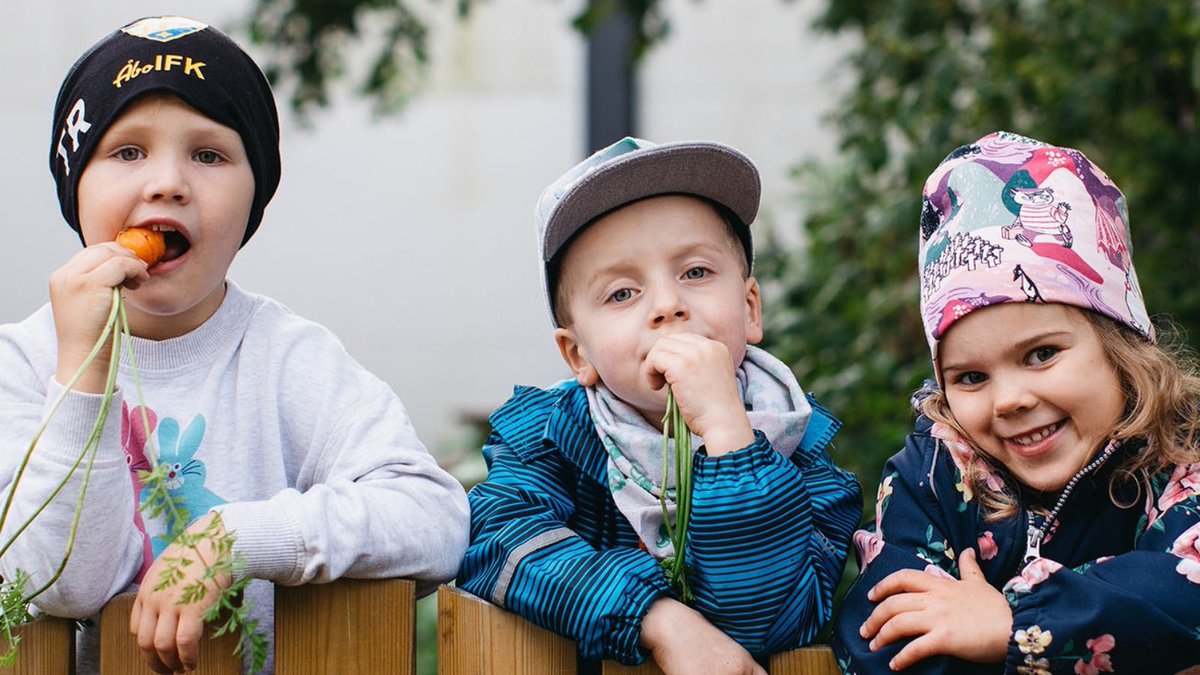 Hei sinä suomenruotsalainen tai ruotsia osaava varhaiskasvatuksen tai hoitoalan ammattilainen! Hae töihin Folkhälsan Välfärdille!

Folkhälsan Välfärd är den största svenskspråkiga organisationen i Finland som arbetar för bättre hälsa och livskvalitet. Företaget erbjuder miljöer…