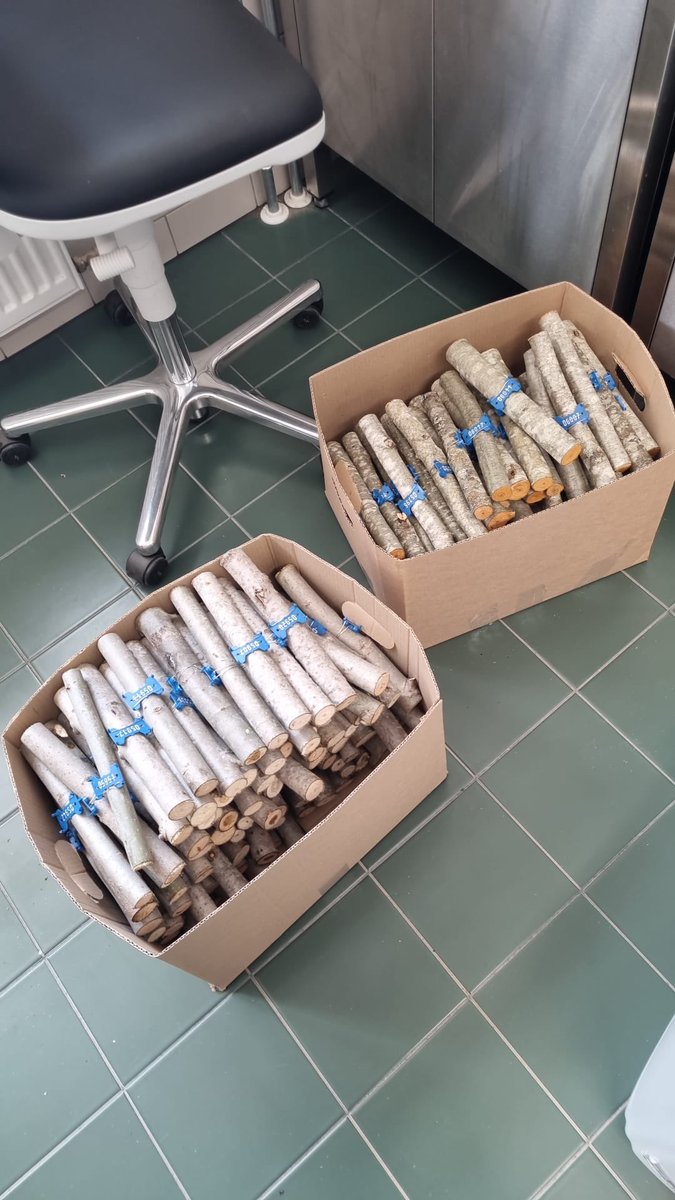 KadriRunnel's tweet photo. Getting there @SebSeibold! #biocomp #collaboration https://t.co/XesbQk5TYB