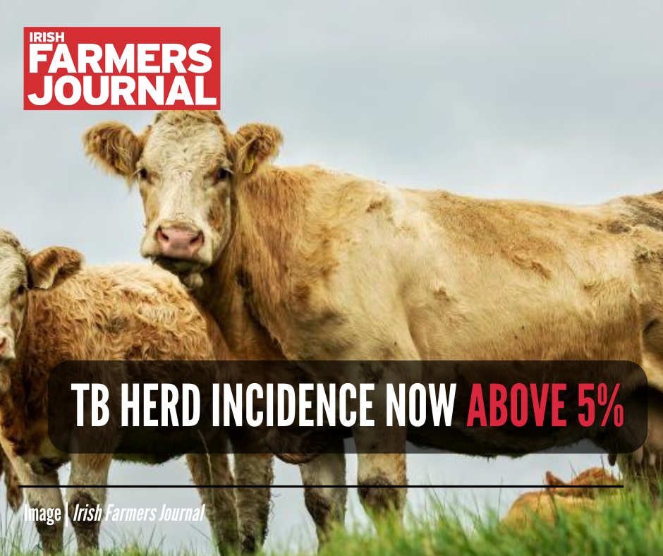 A lack of stakeholder engagement on curbing TB spread between cattle is holding up eradication efforts, Minister for Agriculture Charlie McConalogue has claimed.