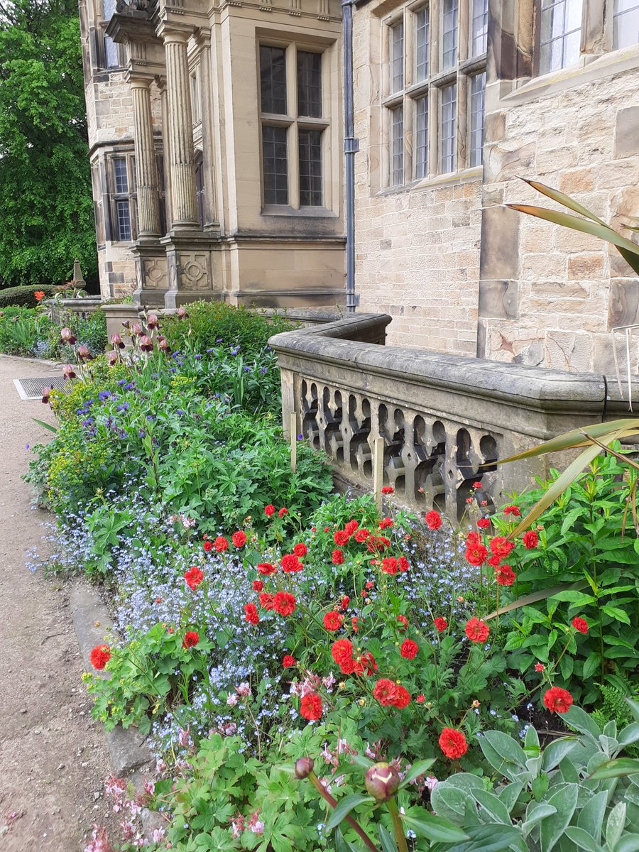 How it started and How it's going #GawthorpeHall #NationalGardensWeek