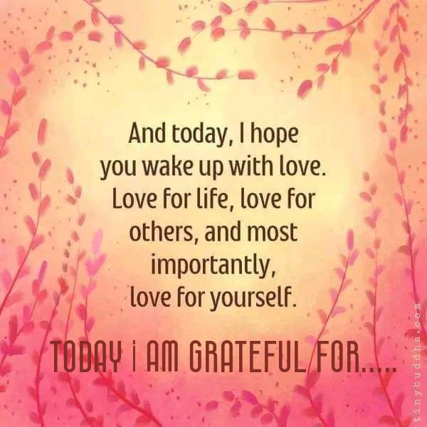 Daily Gratitude 💕 
What are you grateful for today?  #grateful #gratefulpost #GratitudePost #gratitude #dailygratitude