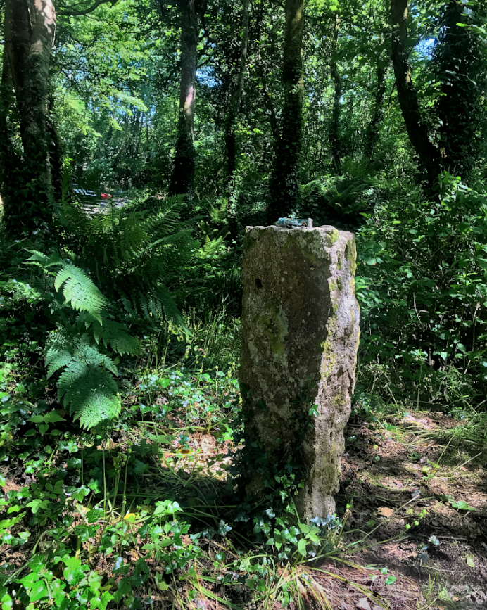 A witch's altars are often peculiar, particular and an intimate reflection of her relationship with the spirits of place. A fallen tree or post of a long-vanished gate are as powerful as any over-candled table dressed with a gaudy cloth. – #EmilyBanting, 1982 #WitchWednesday