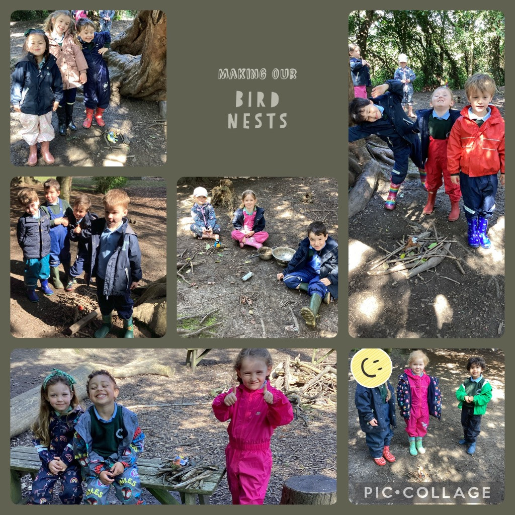 What a fabulous morning we had at Forest Schools! Forest Fox had some ‘chirpy’ friends 🐦 join him this week and they challenged us to create nests 🪺 for them. Our little Crofters worked in teams to construct a nest fit for their birds! What super teamwork and nest building!👏🏻