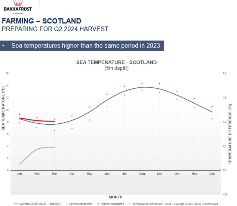 Global Warming Warning by Bakkafrost: Rising seawater temperatures in Scotland with significantly higher levels in 2024 compared to 2023 @ScotlandSalmon @ScotGovMarine Watch out for swarms of jellyfish & microjellies suffocating @rspcaassured Scottish salmon to death!