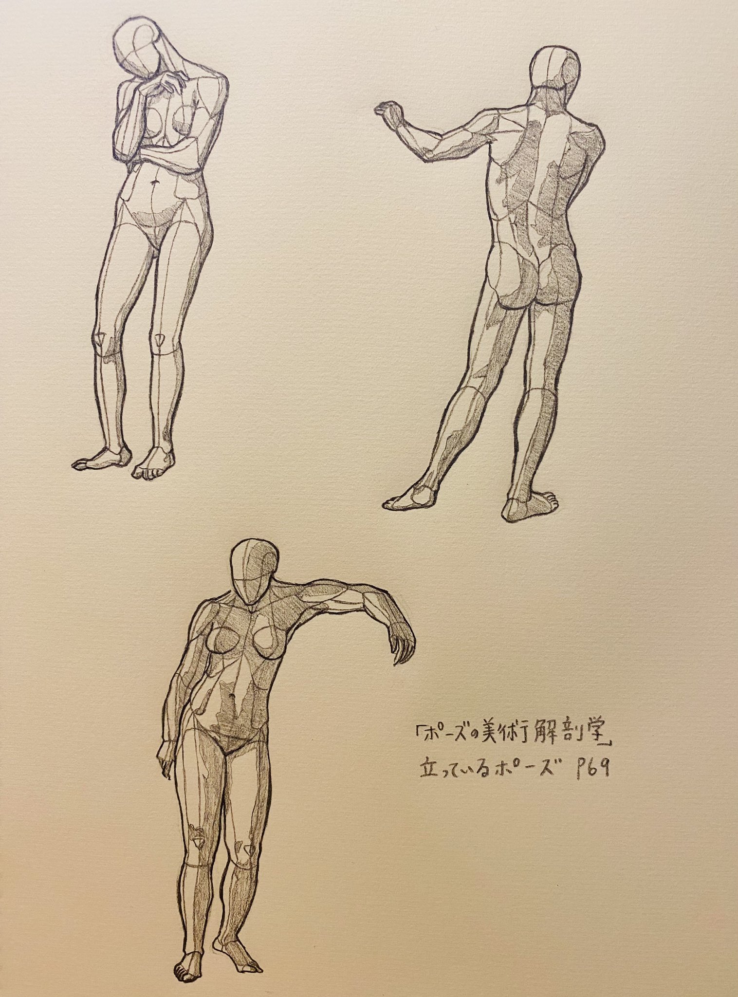 ANATOMY FOR THE ARTIST 解剖デッサン集 Amazon.com: Art Anatomy
