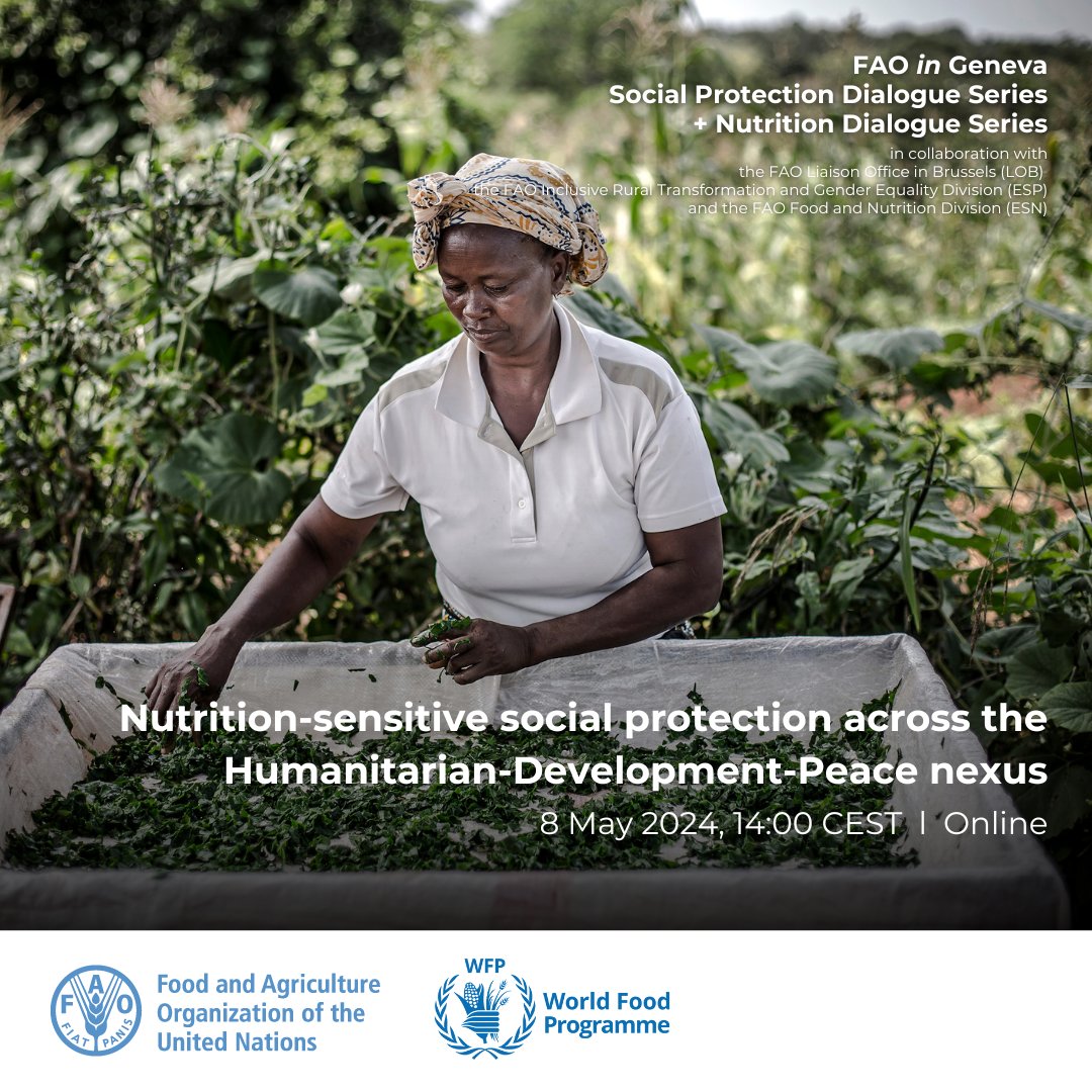 .#HappeningNow l @FAO & @WFP in a joint dialogue with partners discussed & exchanged knowledge on

➡️coherent approach to #socialprotection for food security&nutrition
➡️#socialprotection modalities to improve nutrition across the Humanitarian-Development-Peace nexus