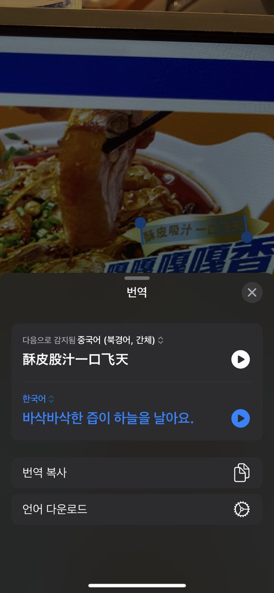 표현력 기가 막힌다🤣🤣