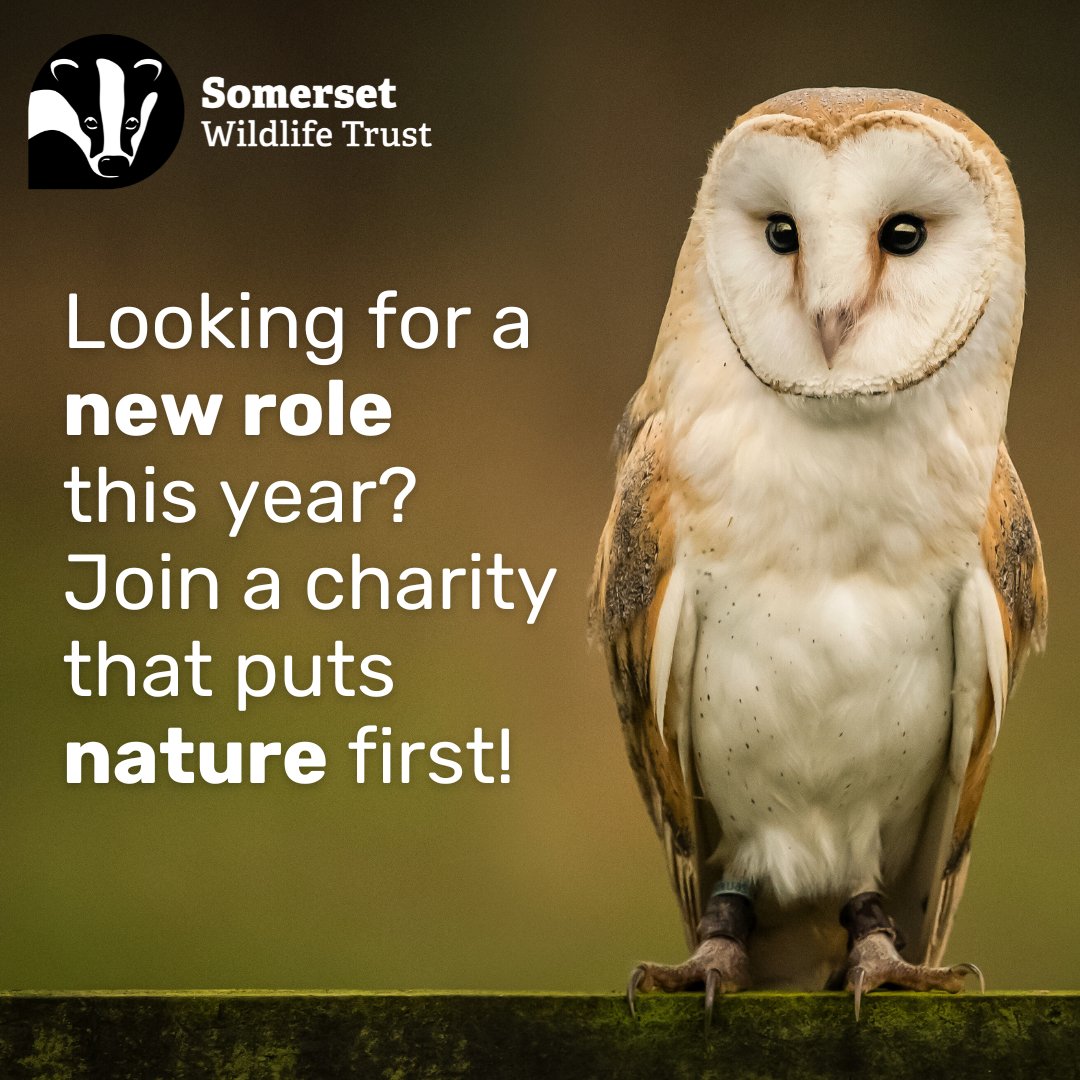 Last chance to apply! ⌛ We're currently recruiting for exciting roles in our organisation, including: 🔍 Somerset Environmental Records Centre Manager 💚 Fundraising Development Manager 🌍 Climate Change Adaptation Officer Find out more and apply: somersetwildlife.org/jobs