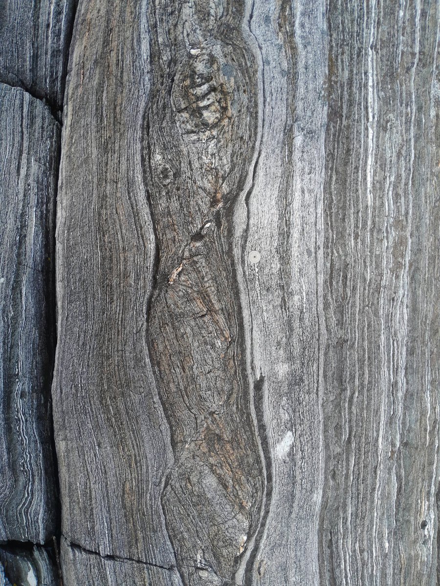 Sascha Zertani tweet media